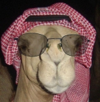 la moude